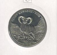 kaz50tengemoufflon2015