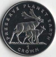 1994-7989-1