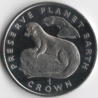 1995-8042-1