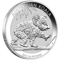 AUS2016Koala