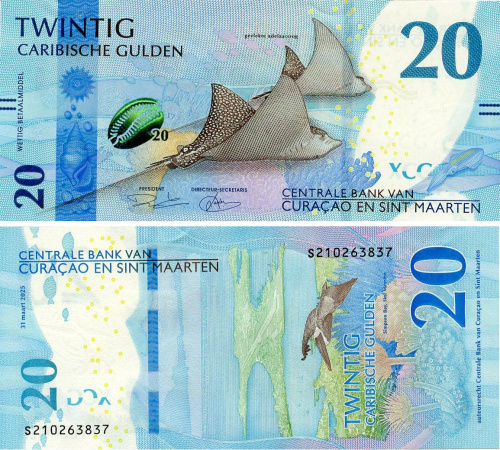 фото Кюрасао и Синт-Мартен 20 гульденов 2025 UNC Серая рыба-ангел (P2)