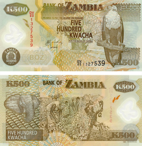 фото Замбия 500 квача 2011 Полимер UNC Слон (P43h)