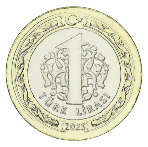 фото Турция 1 лира 2025 Биметалл UNC