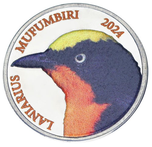 фото Нью Провиденс 3 доллара 2024 UNC Птица - Крикливый певчий сорокопут