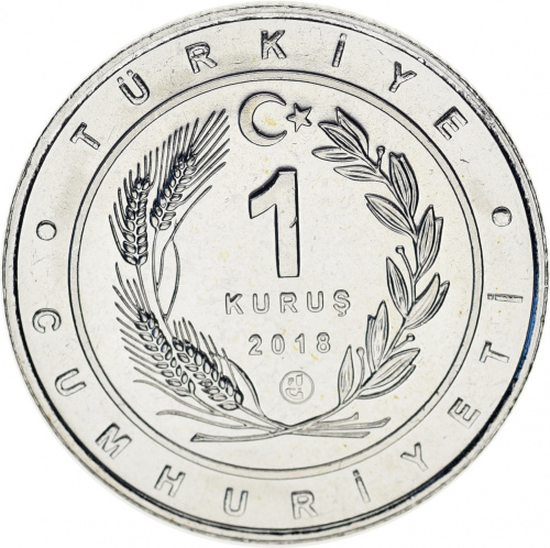 фото Турция 1 куруш 2018 UNC «Птицы Турции - Малый баклан»