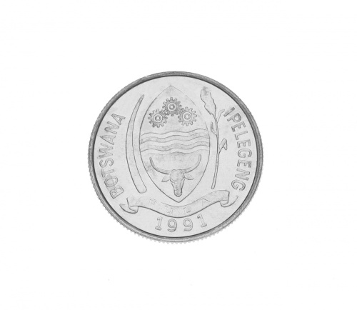 фото Ботсвана 1 тхебе 1991 UNC Птица