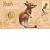 0-Bush-Babies-Kangaroo-PNC-Card
