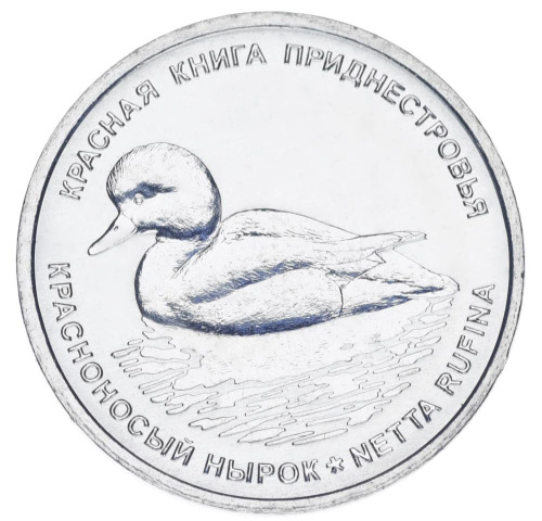 фото Приднестровье 1 рубль 2023 UNC Птица - Красноносый нырок