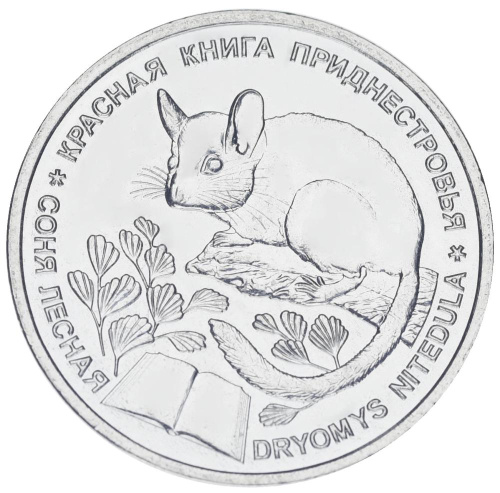 фото Приднестровье 1 рубль 2023 UNC Фауна - Соня лесная