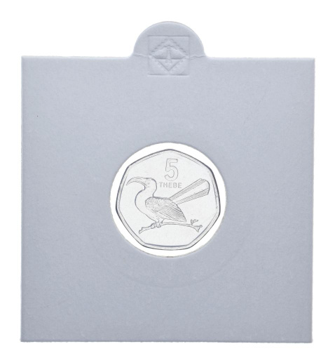 фото Ботсвана 5 тхебе 2013 UNC Птица