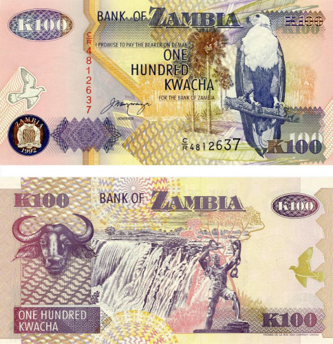 фото Замбия 100 квача 1992 UNC Буйвол (P38)