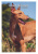 изображение Мальта 2 евро 2026 Биметалл UNC Фараонова собака фото Мальта 2 евро 2026 Биметалл UNC Фараонова собака