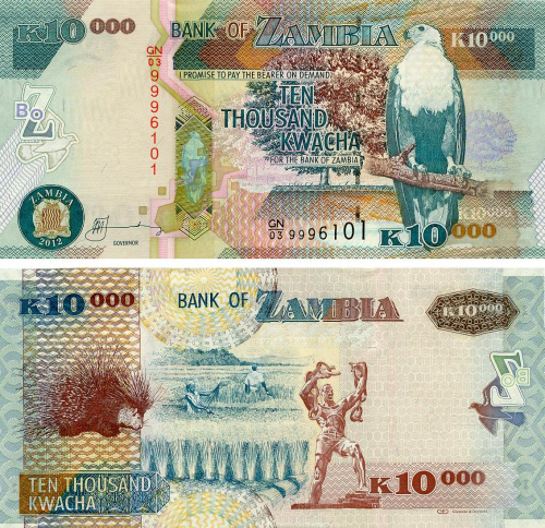 фото Замбия 10000 квача 2012 UNC Дикобраз (P46h)