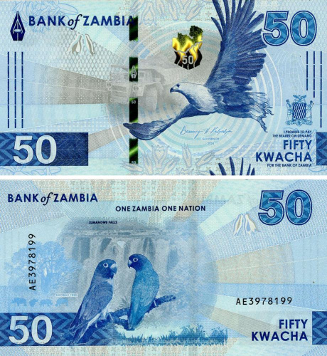фото Замбия 50 квача 2024 (2025) UNC Попугаи (PW64)