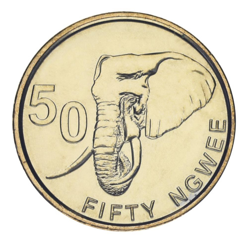 фото Замбия 50 нгве 2024 UNC Животное - Слон