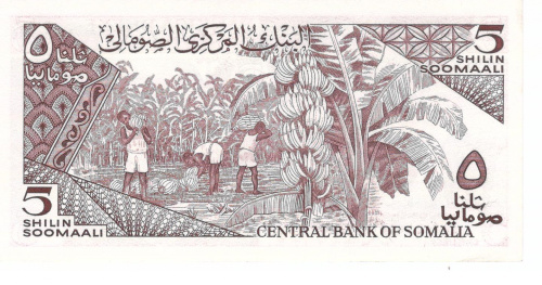 фото Сомали 5 шиллингов 1987 UNC (P31c)