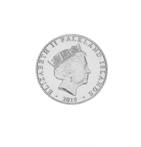 фото Фолклендские острова 5 пенсов 2019 UNC Птица