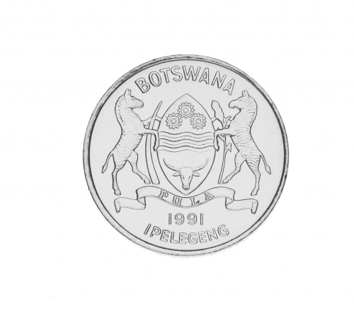 фото Ботсвана 10 тхебе 1991 UNC Козел