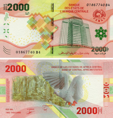 фото Центральная Африка 2000 франков 2022 UNC Попугай (Pnew)