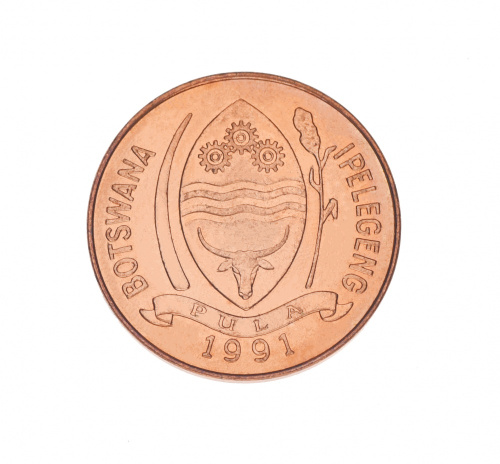 фото Ботсвана 5 тхебе 1991 UNC Птица