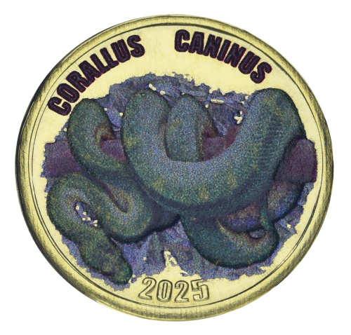 фото Остров Чилоэ 2 фунта 2025 UNC Чили Рептилия - Змея - Собакоголовый удав