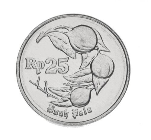 фото Индонезия 25 рупий 1991 AU-UNC