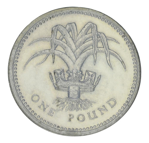 фото Великобритания 1 фунт 1985 F-VF