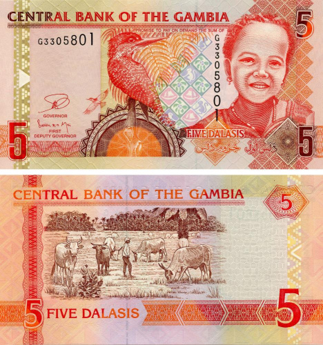 фото Гамбия 5 даласи 2013 UNC (P25c)