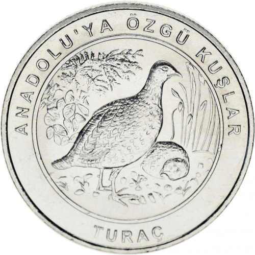 фото Турция 1 куруш 2018 UNC «Птицы Турции - Турач»