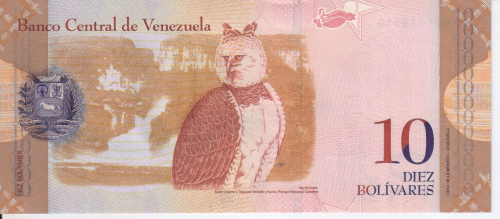 фото Венесуэла 10 боливар 2013 UNC Птица Сова (P90d)
