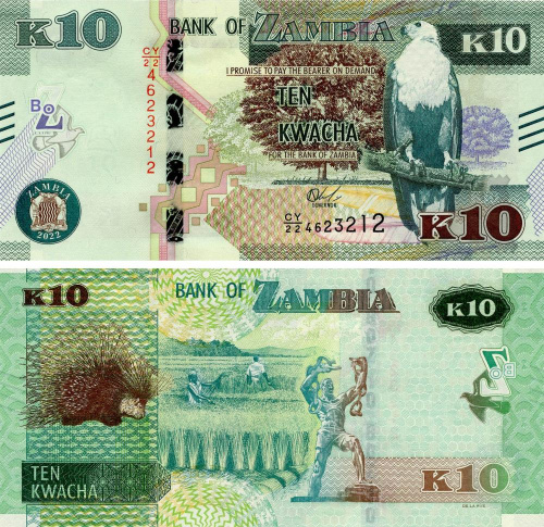 фото Замбия 10 квача 2022 Дикобраз UNC (P58d)