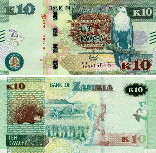 фото Замбия 10 квача 2020 Дикобраз UNC (Pnew)