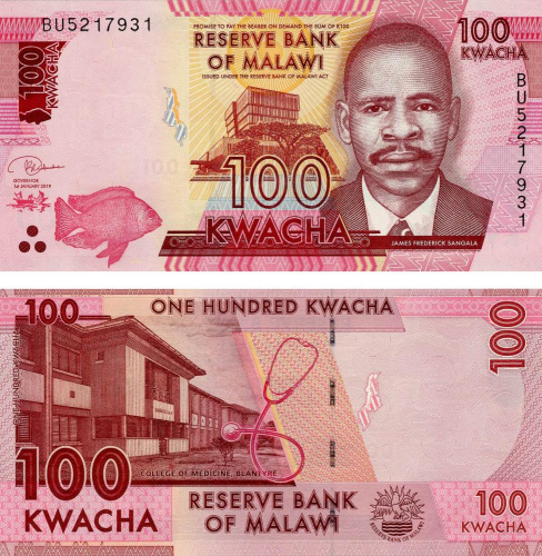 фото Малави 100 квача 2019 UNC Рыба (P65d)