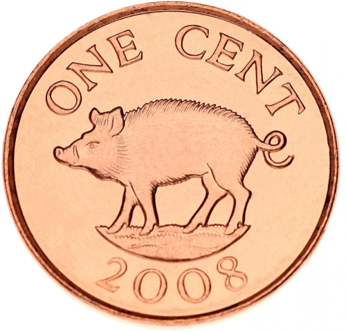 фото Бермуды 1 цент 2008 UNC Кабан Свинья