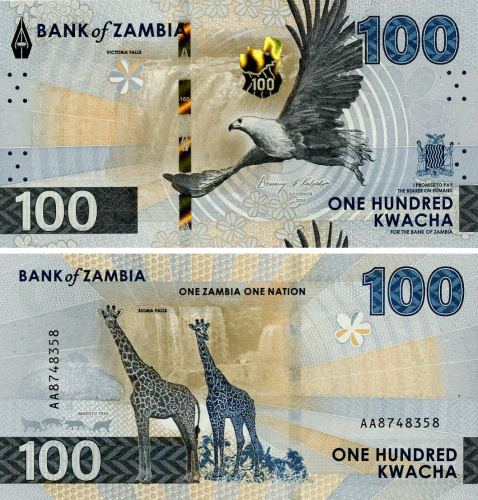 фото Замбия 100 квача 2024 (2025) UNC Жираф (PW65)