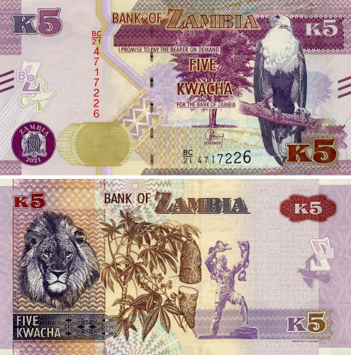 фото Замбия 5 квача 2021 UNC Лев (Pnew)