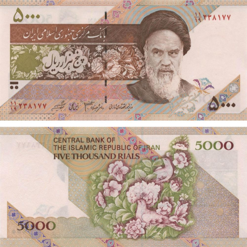 фото Иран 5000 риалов 1993 UNC Цветы (P145)