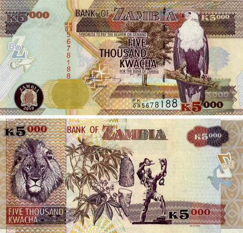 фото Замбия 5000 квача 2010 UNC Лев (P45f)