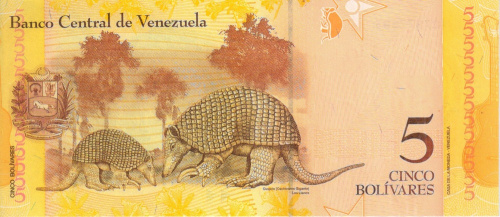 фото Венесуэла 5 боливар 2011 UNC Гигантский броненосец (P89d)