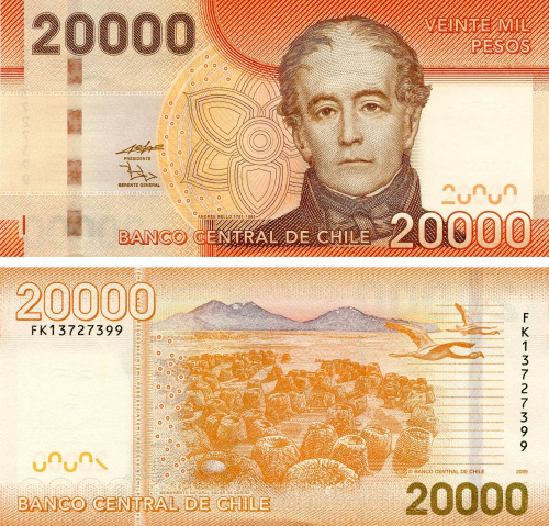 фото Чили 20000 песо 2009 UNC Птицы Природный памятник Салар-де-Сурире (P165)