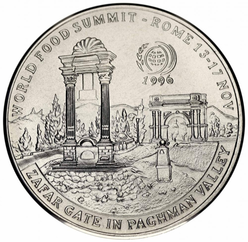 фото Афганистан 50 афгани 1996 UNC FAO ФАО Ворота Зафара Большая монета (KM#1030)
