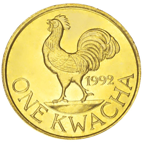 фото Малави 1 квача 1992 UNC Птица - Петух