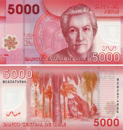 фото Чили 5000 песо 2016 Полимер UNC Птица - Сова (P163)