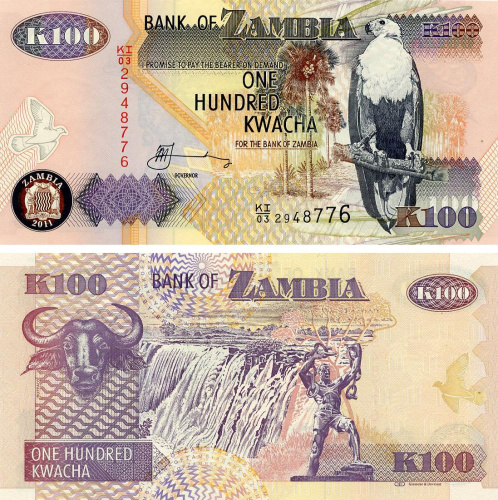фото Замбия 100 квача 2011 UNC Буйвол (P38)