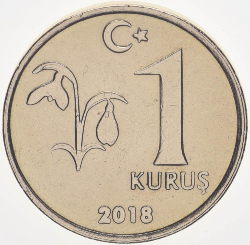 фото Турция 1 куруш 2018 UNC