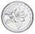 изображение Кюрасао 10 центов 2025 UNC Флора - Цветок фото Кюрасао 10 центов 2025 UNC Флора - Цветок