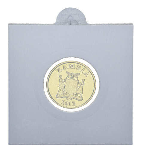 фото Замбия 10 нгве 2012 UNC Косуля
