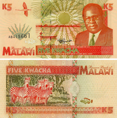 фото Малави 5 квача 1995 UNC Животные - Зебры (P30)