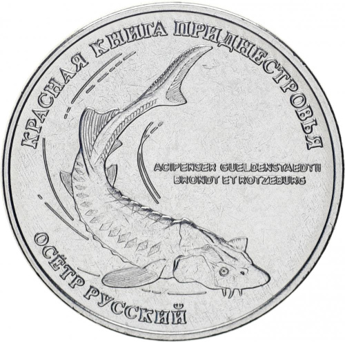 фото Приднестровье 1 рубль 2018 «Осетр русский» UNC