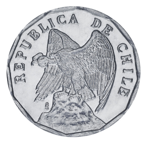 фото Чили 10 сентаво 1976 UNC Птица - Гриф